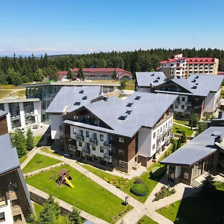 White & Wood C302, At Euphoria