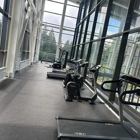 White & Wood C302, At Euphoria * Borovets