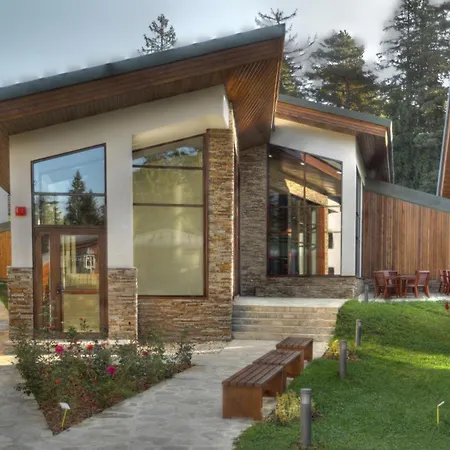 White & Wood C302, At Euphoria * Borovets