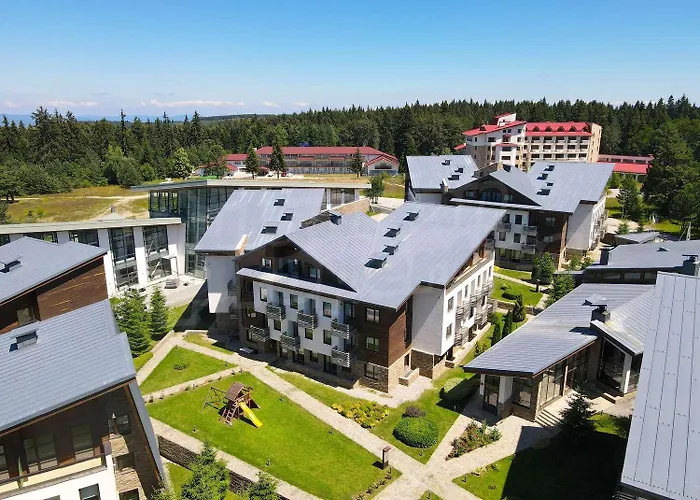 White & Wood C302, At Euphoria